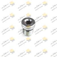 درپوش بلوک سیلندر TEREADED PLUG ASSY M10*1(UP TO#328585) 4899009 IVECO