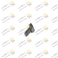 پیچ مجموعه دیفرانسیل کررو Bolt M6x10 128440